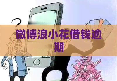 微博浪小花借钱逾期
