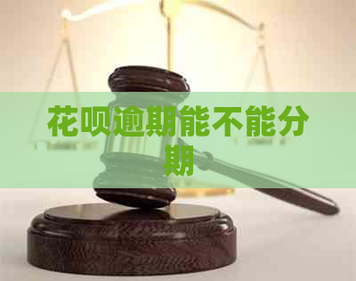 花呗逾期能不能分期
