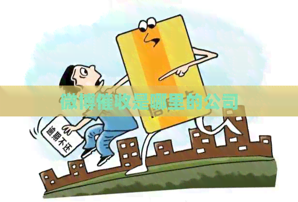 微博是哪里的公司