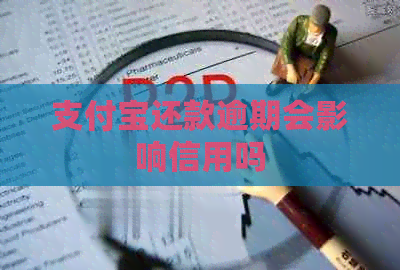 支付宝还款逾期会影响信用吗