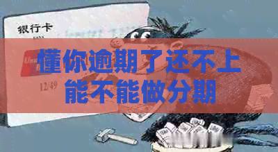 懂你逾期了还不上能不能做分期