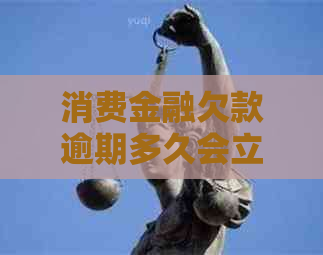 消费金融欠款逾期多久会立案处理