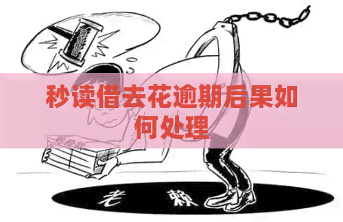 秒读借去花逾期后果如何处理