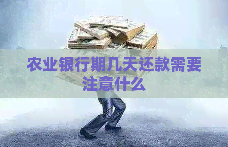农业银行期几天还款需要注意什么
