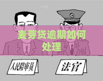 麦芽贷逾期如何处理