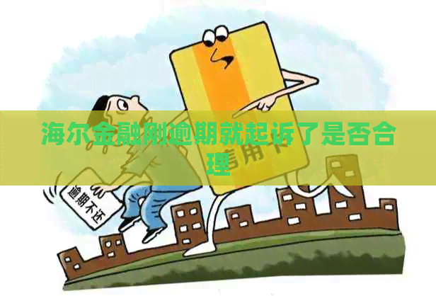 海尔金融刚逾期就起诉了是否合理