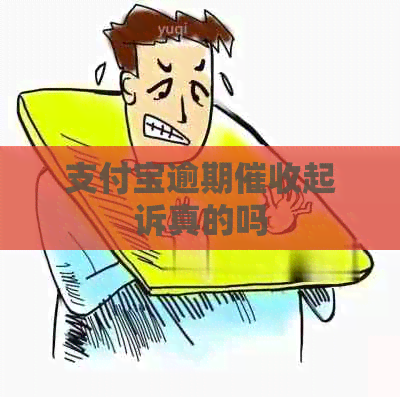 支付宝逾期起诉真的吗