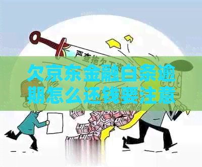 欠京东金融白条逾期怎么还钱要注意什么