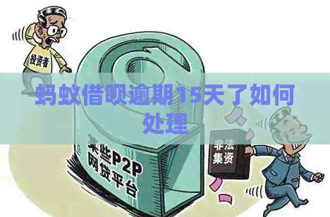 蚂蚁网贷逾期15天了如何处理