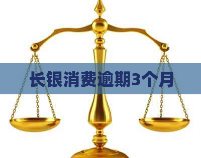 长银消费逾期3个月
