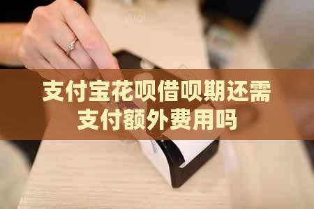 支付宝花呗借呗期还需支付额外费用吗