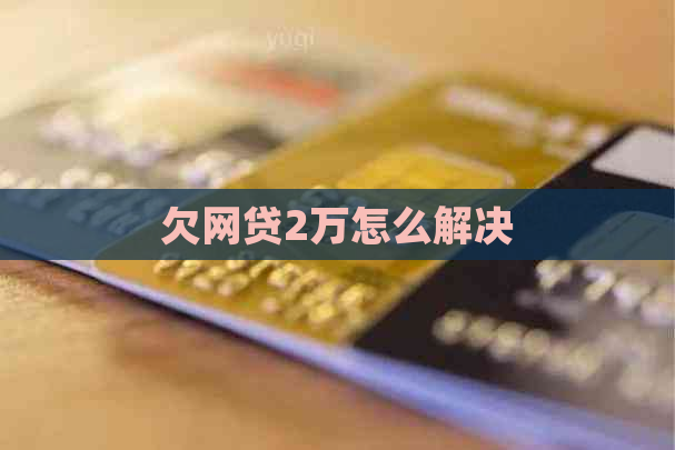 欠网贷2万怎么解决