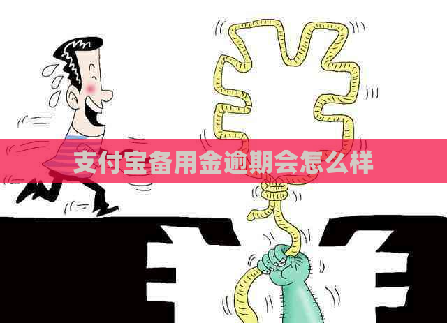 支付宝备用金逾期会怎么样