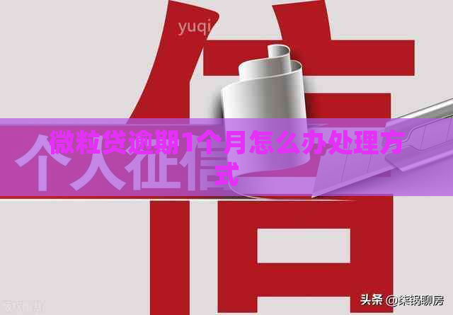 微粒贷逾期1个月怎么办处理方式