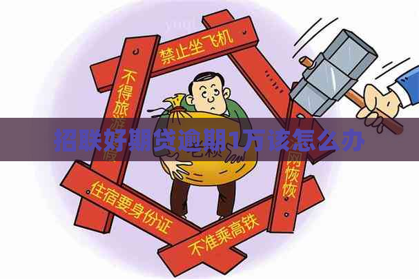 招联好期贷逾期1万该怎么办