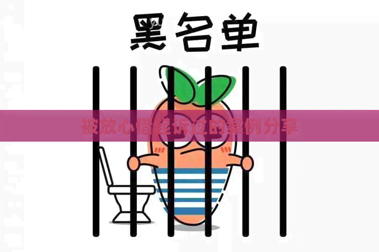 被放心借起诉过的案例分享
