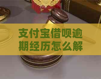 支付宝借呗逾期经历怎么解决