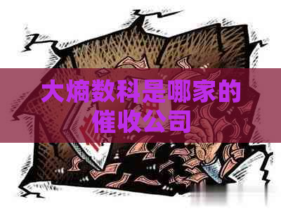 大熵数科是哪家的公司