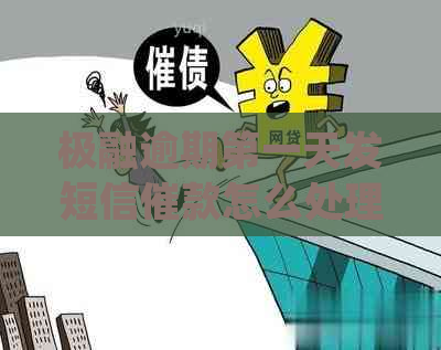 极融逾期之一天发短信催款怎么处理