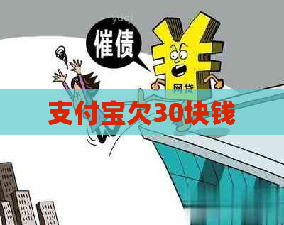 支付宝欠30块钱
