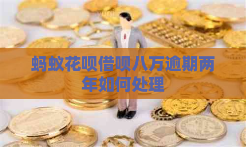 蚂蚁花呗借呗八万逾期两年如何处理