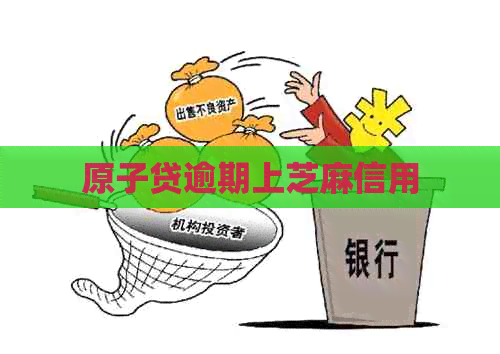 原子贷逾期上芝麻信用