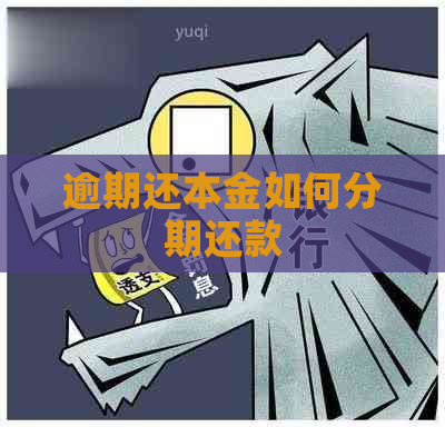 逾期还本金如何分期还款