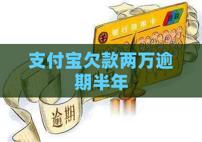 支付宝欠款两万逾期半年