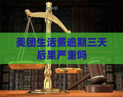 美团生活费逾期三天后果严重吗