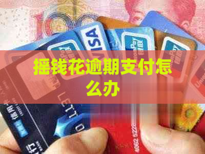 摇钱花逾期支付怎么办