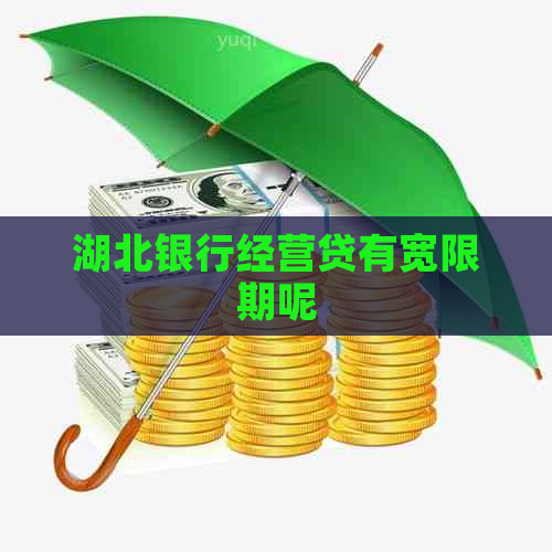湖北银行经营贷有宽限期呢