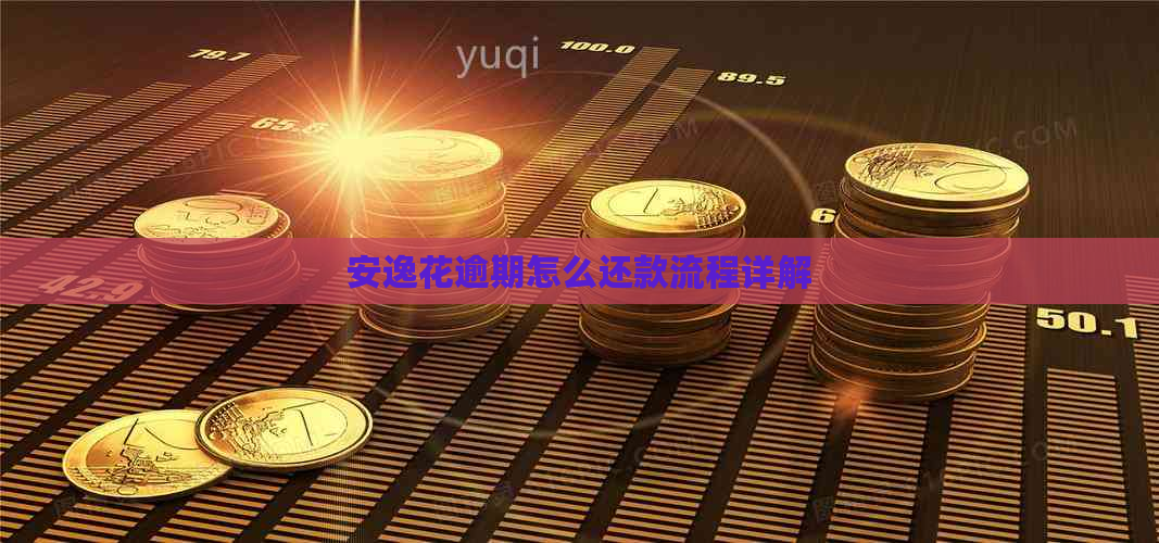 安逸花逾期怎么还款流程详解