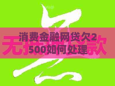 消费金融网贷欠2500如何处理