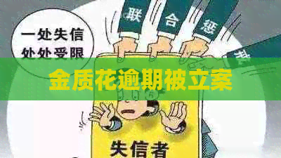 金质花逾期被立案