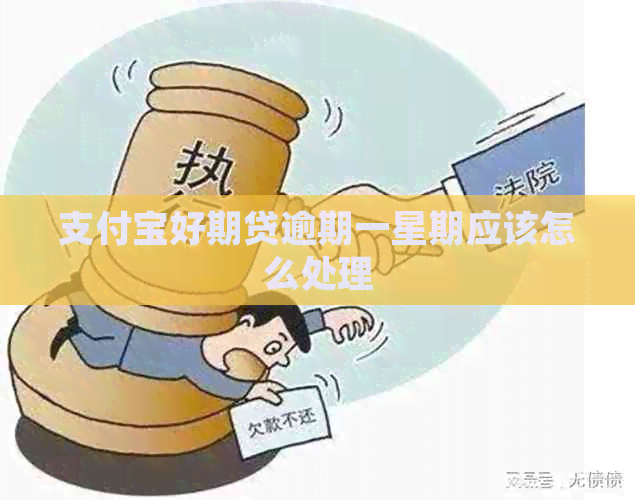 支付宝好期贷逾期一星期应该怎么处理