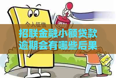 招联金融小额贷款逾期会有哪些后果