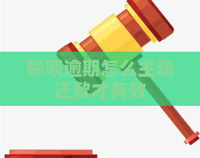 赊呗逾期怎么主动还款才有效