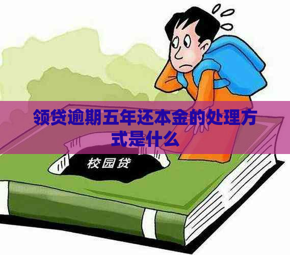领贷逾期五年还本金的处理方式是什么