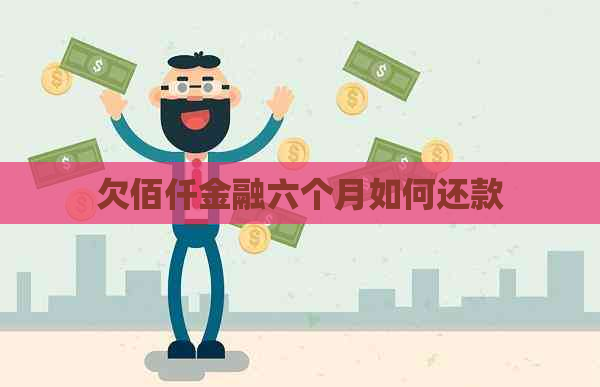 欠佰仟金融六个月如何还款