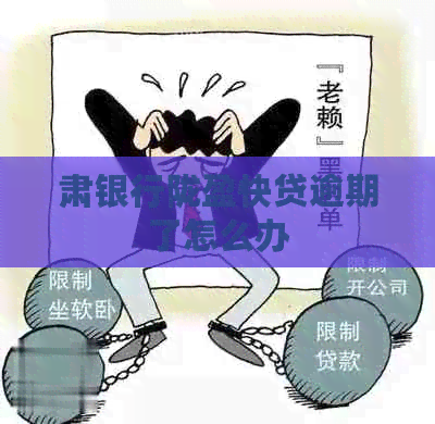 肃银行陇盈快贷逾期了怎么办