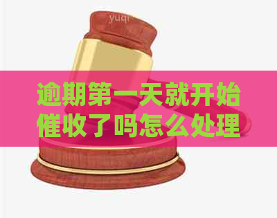 逾期之一天就开始了吗怎么处理