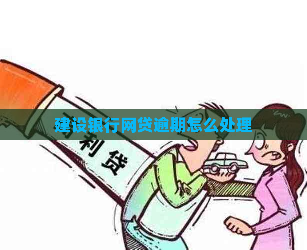 建设银行网贷逾期怎么处理