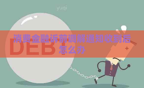 消费金融诉前调解通知收到后怎么办
