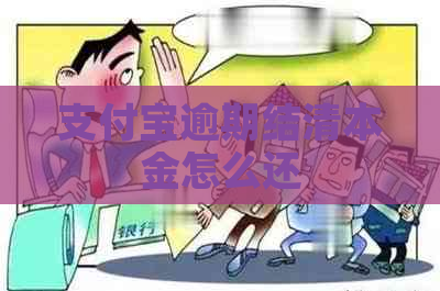 支付宝逾期结清本金怎么还