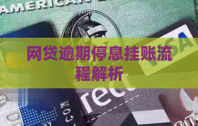 网贷逾期停息挂账流程解析