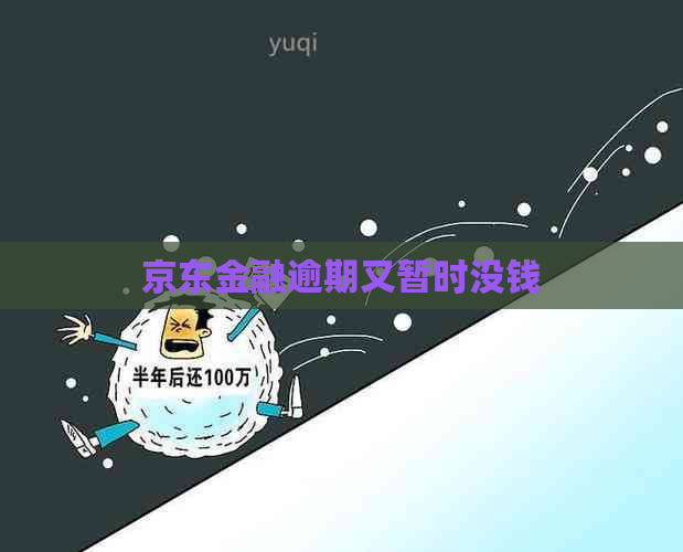 京东金融逾期又暂时没钱