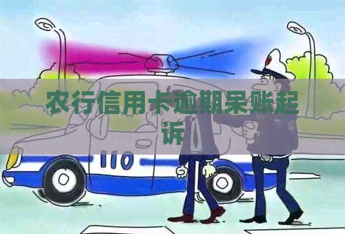 农行信用卡逾期呆账起诉