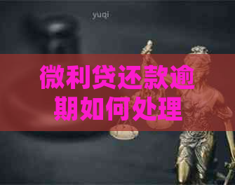 微利贷还款逾期如何处理