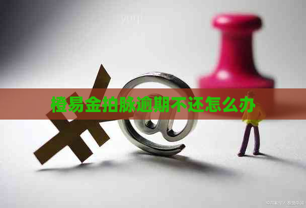 橙易金拍脉逾期不还怎么办