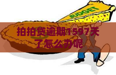 逾期1597天了怎么办呢